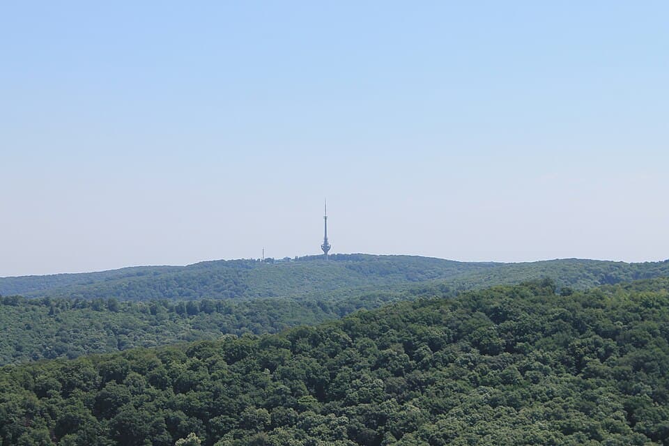 Along the ridge